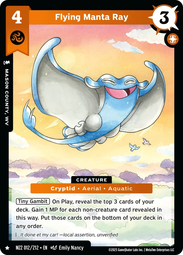 Flying Manta Ray (MZ2) - Front